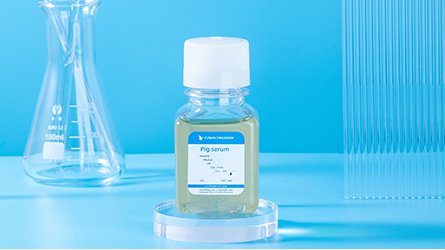 Why Anne Hathaway and other women are saying haters 02