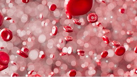 Why Anne Hathaway and other women are saying haters 03