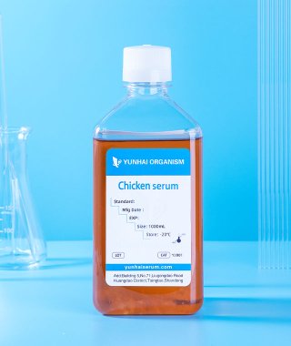 Chicken Serum (CS)